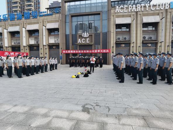 轉(zhuǎn)載：颯！酷！高溫下的襄陽街頭驚現(xiàn)一群“獵鷹”！